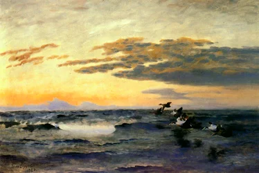 Eiderenten bei Sonnenaufgang